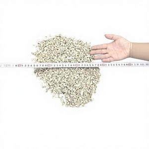 Arena de Coral Ecológica de Vietnam de 5 mm para Acuarios, Piedras Decorativas de Calcio para Peceras - Product Image 1