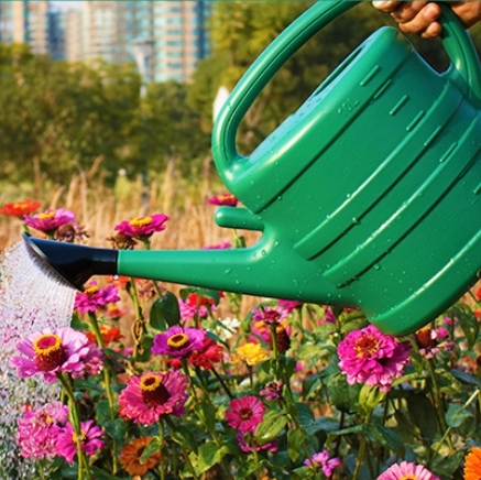Wholesale Large Capacity Thickened New Design Garden Plastic Watering Can for Home Balcony Flower Watering Kits