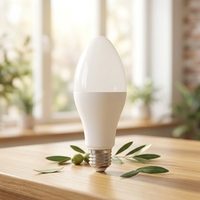 Ampoule LED en gros 15W DOB, ampoule LED 100-265V large tension 1350Lm 65x153mm en plastique et aluminium PC, forme olive, direct usine