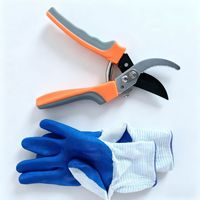 Sécateur robuste pour arbres fruitiers, ciseaux de jardinage pour fleurs, outil de coupe de branches avec poignée antidérapante, ensemble de gants, fabriqué en Chine