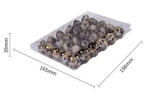 Hochwertiger 15 20 Löcher-Wachteleier-Karton Verpackungsbox durchsichtige Plastik-Eierschale Verpackung für Wachelhähnchen