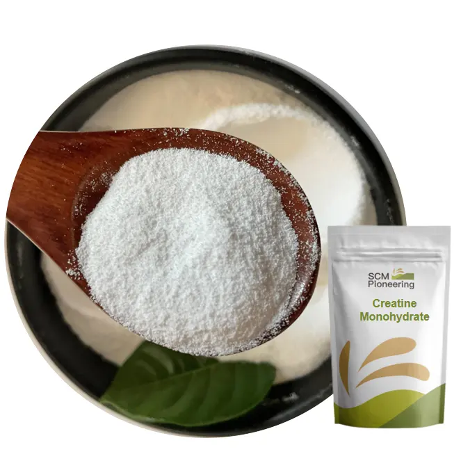 SCMPioneering supplier Nutritional supplements raw materials Creatine Powder 200/80 Mesh Monohydrate Creatine CAS:6020-87-7