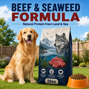 Crocchette <span class=keywords><strong>per</strong></span> <span class=keywords><strong>Cani</strong></span> Sane Senza Cereali con Manzo e Alghe Marine 20kg OEM Etichetta Privata Premium ad Alto Contenuto Proteico <span class=keywords><strong>per</strong></span> <span class=keywords><strong>Cani</strong></span> Adulti di Taglia Grande - Product Image 1