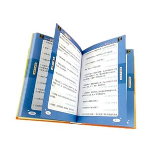 <span class=keywords><strong>Dictionnaire</strong></span> de <span class=keywords><strong>dictons</strong></span> et de phrases célèbres pour les élèves du primaire - Outil d'écriture pratique - Livre de bonnes expressions pour les classes de CP à CM2 - Product Image 5