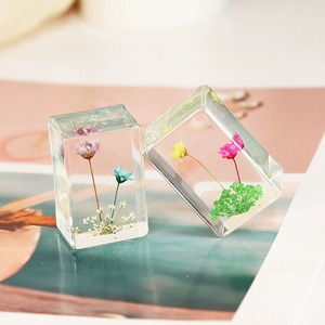 Ivy Handmade Resin Crafts Optical Acrylic Crystal Dried Flower Paperweights Resin Paperweight for School Teaching