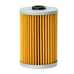 Elemento de Filtro de Combustible 18-7977 35-8M0093688 con Junta Tórica para Reemplazo y Reparación - Product Image 2
