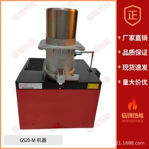Brûleurs de fours industriels RIELLO 40GS5 GS10 GS20 GS10D GS20D GS10/M GS20/M - Product Image 5