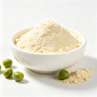 Complément Alimentaire Non-OGM Nutrition Végétalienne de Qualité Supérieure à Base de Plantes 25 Kg Isolat de Protéine de Pois Fermentée Biologique 80% en Gros