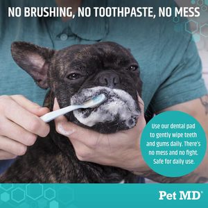 Toallitas Dentales Pet MD, 100 Unidades, Sabor a Manzana Fresca y Menta para Perros - Product Image 5