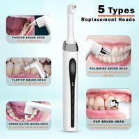 Polisseuse à dents dentaire Polisseuse à dents électrique professionnelle 3 pâtes à polir 5 têtes de brosse 5 modes de vitesse et chargement USB