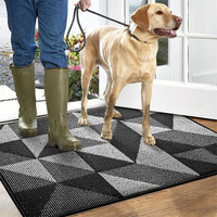 Tapis d'entrée absorbant pour intérieur, anti-dérapant, anti-salissures, lavable en machine, profil bas