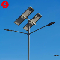 Projet d'appel d'offres gouvernemental : Lampadaires solaires LED séparés 80W, 100W, 120W, 150W avec caméra et poteau