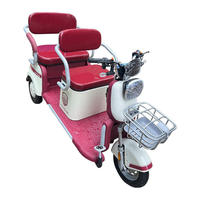 Tricycle Électrique de Luxe Personnalisé 60V 12 Pouces 3 Places, Véhicule Passager à Trois Roues, Pédicab 60V 1000W, Scooter de Mobilité Ouvert