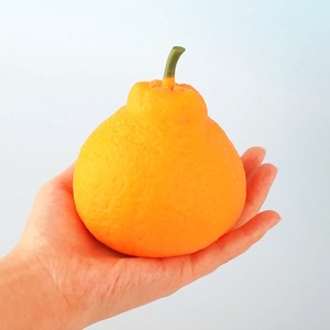 Simulated Orange <b>Squishy</b> Toy Slow Rebound Moldable Non-Peelable Orange Soft Rubber Stress Reliever Creative Toy - Product Image 4