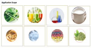 Máquina de secado de fungicidas de baja temperatura personalizada Secador químico de correa al vacío - Product Image 2