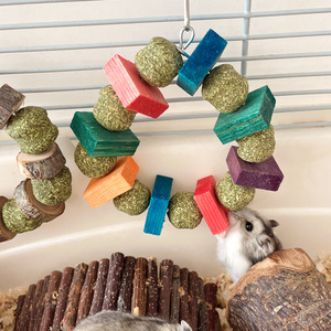 Jouet pour Hamster, Cochon d'Inde, Lapin – Écologique, Vert, Classique, 0,5 kg – Friandise, Jouet à Mâcher, Anneau Décoratif, Boule d'Herbe, Bâton de Bois de Pomme - Product Image 1