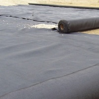 Fourniture en gros de géotextile tissé en PP pour les projets de stabilisation des fondations des pistes d'aéromodélisme