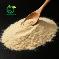 Extrait de levure de qualité alimentaire en vrac, enrichi en chrome, en poudre
