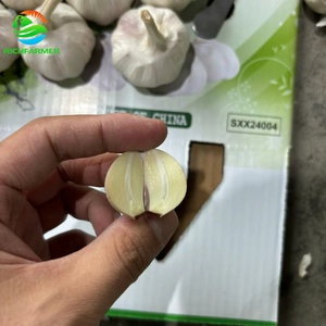 กระเทียมเดี่ยวสีขาวบริสุทธิ์สด6.0ซม. สำหรับอาหารราคาดีที่สุดในจีน - Product Image 6