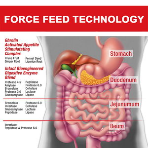 Yeni trend yetişkinlerin sağlıklı iştah güçlendirici kilo kazanç şurup uyarıcı <span class=keywords><strong>multivitamin</strong></span> takviyesi bitkisel takviyeler içecek - Product Image 2