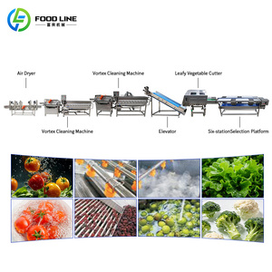 Línea de Producción para el Procesamiento de Bulbos Medianos de Hortalizas de Raíz con Congelación IQF - Product Image 6