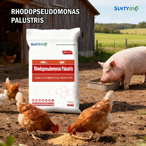 Bacterias fotosintéticas para acuicultura, aminoácidos de grado alimenticio, aditivos para alimento de peces y camarones - Product Image 5