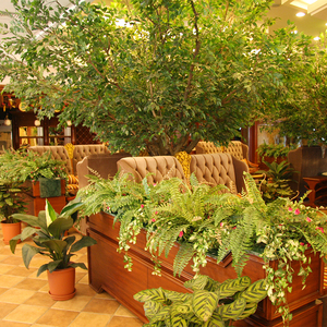 Alta similitud Anti-decoloración gran <span class=keywords><strong>Bonsai</strong></span> Artificial Banyan árbol - Product Image 6