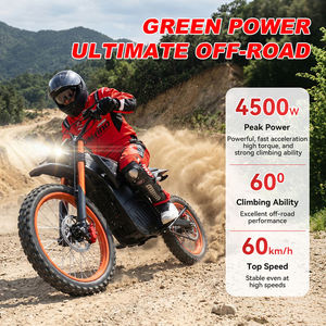 Motocicleta Todoterreno Eléctrica para Adultos, 8000W, IPX6, Resistente al Agua, con Certificación CE, para Deportes Extremos de Exploración - Product Image 5
