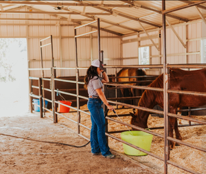 Verzinkter Pferde zaun Hochleistungs-Pferde paneel hof - Product Image 1
