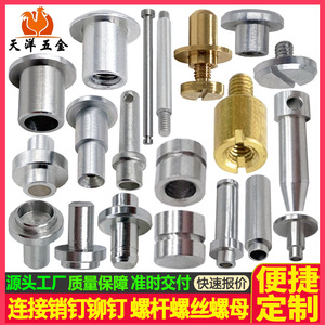 Tianyang Hardware Connecting Pins Rivets Steps Male Female Screws Sensor Probes Double Threaded Nuts High Precision Machined - Product Image 3