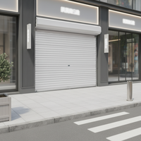 Porte roulante électrique isolée en aluminium de conception moderne pour la maison