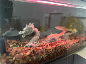 Statua Paesaggistica Drago Divino Acquatico per <span class=keywords><strong>Acquario</strong></span>, Scultura in Pietra, Pietra Verde, Bonsai, Micro Paesaggio, Accessori per Acquari - Product Image 5