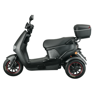 EEC COC欧盟库存铝合金1000瓦无刷锂电池3轮电动滑板车防水可折叠 - Product Image 6