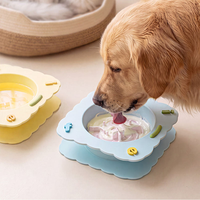 Bol d'alimentation lent pour animaux de compagnie en silicone détachable, anti-étouffement, anti-renversement, pour chiens et chats, pliable et portable