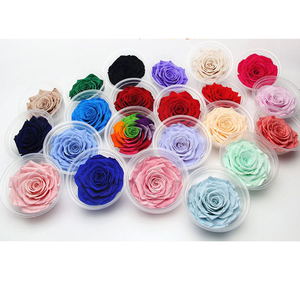 ดอกกุหลาบสดตัดขนาด 2-3 ซม. 3-4 ซม. 4-5 ซม. 5-6 ซม. 9-10 ซม. ขายส่ง ดอกไม้สดตัดจากเอกวาดอร์ - Product Image 3