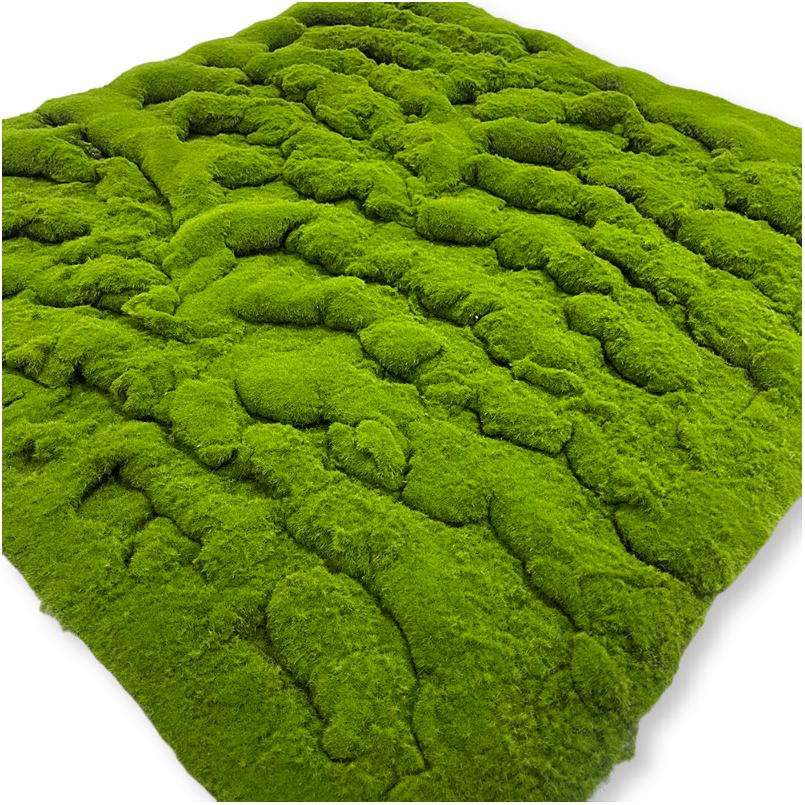 Mousse ondulée entièrement végétative