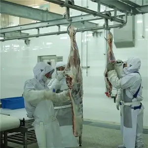 Abattoir de taureaux halal pour boucherie de bœuf abattoir usine de transformation de viande