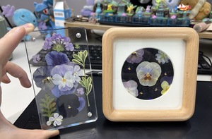 Viola del pensiero fiori secchi naturali fiori secchi decorazione del viso in rilievo, occhi angolo adesivi, segnalibri - Product Image 6