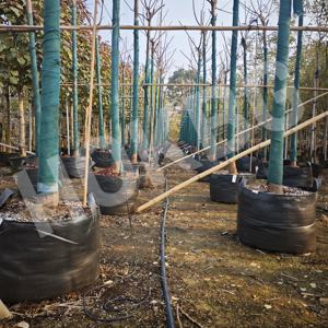 Bolsas <span class=keywords><strong>de</strong></span> Cultivo HOKBG <span class=keywords><strong>de</strong></span> 80 <span class=keywords><strong>Litros</strong></span> <span class=keywords><strong>de</strong></span> Polipropileno para Plantación <span class=keywords><strong>de</strong></span> Árboles Jóvenes en Exteriores, <span class=keywords><strong>Macetas</strong></span> y Jardineras <span class=keywords><strong>de</strong></span> 20 Galones, Bolsas <span class=keywords><strong>de</strong></span> Plástico para Plantar Plántulas - Product Image 4