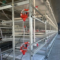 Cage à poulets de chair de type H à 4 niveaux, résistante à la corrosion, avec système de chauffage et d'éclairage automatiques, pour projet clé en main