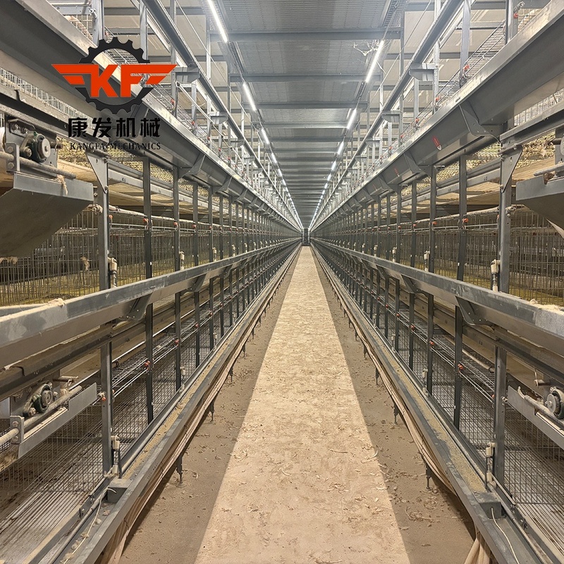 Multi Layer Broiler Chicken Cages Suitable