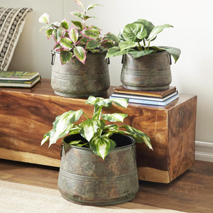 กระถางโลหะสีดำด้านสำหรับปลูกต้นไม้3ชิ้นชุด2025ของตกแต่งบ้านต้นไม้โลหะชุบสังกะสีลายดอกไม้แนววินเทจ - Product Image 6