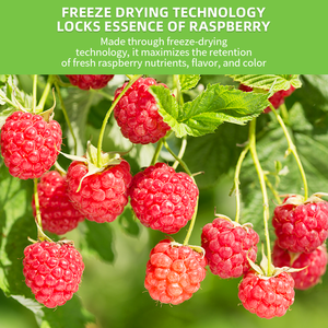 Poudre de Fruit de framboise échantillon gratuit poudre de framboise rouge - Product Image 4