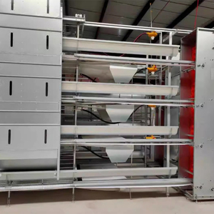 Vendita calda automatica H-tipo pollo batteria gabbie strato pollame attrezzature per l'agricoltura - Product Image 6