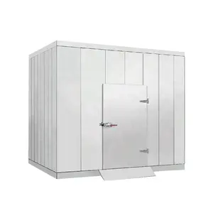 Ruixue planta de refrigeração caminhada em mini sala fria, unidade de resfriamento, congelador de ar, unidade de condensação