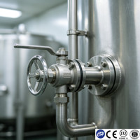 Tanque de Almacenamiento de Agua Mineral de 50-3000L, Acero Inoxidable SS304, Doble Pared, Control de Temperatura, Sistema Expandible, Certificado CE, Fabricante Chino