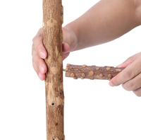 Jouet fourchette en bois naturel de cm, oiseau perroquet, Branches de support
