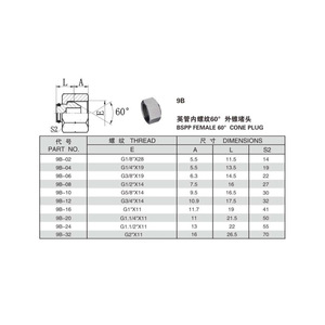 60 Bouchons coniques externes standard britannique de type 9B pour l'étanchéité des tubes avec filetage interne, bouchon d'union - Product Image 1