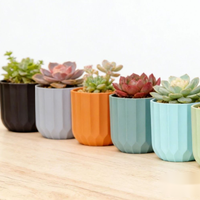 Pots de fleurs et de plantes en plastique personnalisés de style design contemporain pour la décoration de la maison et du jardin, pour usage au sol et dans les centres commerciaux