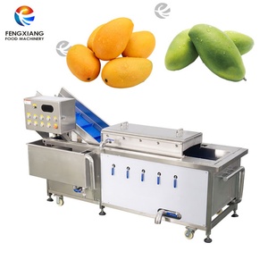 Machine industrielle de blanchiment de fruits à l'eau chaude PT-1000 en acier inoxydable 304 - Product Image 1